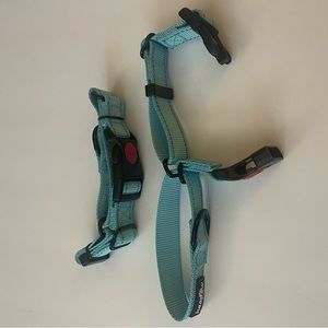 Haapaw Martingale Reflective Training Dog Collar Medium Turquoise Quick Release